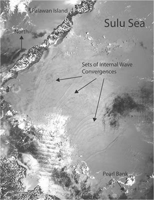 Observational Evidence and Open Questions on the Role of Internal Tidal Waves on the Concentration and Transport of Floating Plastic Debris